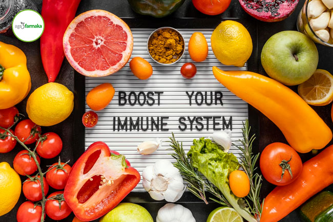  5 Makanan Penambah Imunitas Tubuh